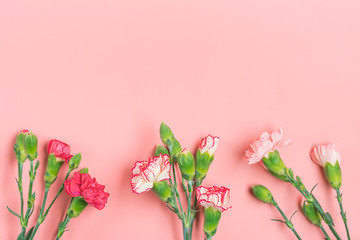 bouquet of different pink carnation flowers on pink background Top view Flat lay Holiday card 8 March, Happy Valentine's day, Mother's day concept