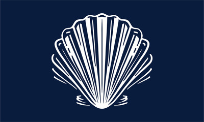 sea shell on dark background