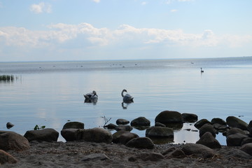 baltic coast