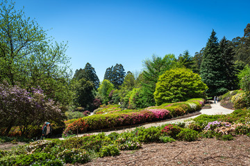 path in the park