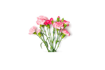bouquet of pink carnation flower isolated on white background Top view Flat lay Holiday card 8 March, Happy Valentine's day, Mother's, Memorial, Teacher's day concept Copy space