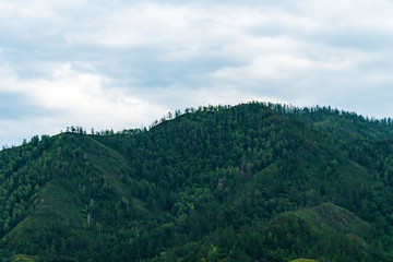 Background image of a mountain landscape. Russia, Siberia, Altai