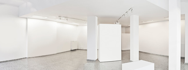 Panoramic view of a Exhibition gallery with museum style