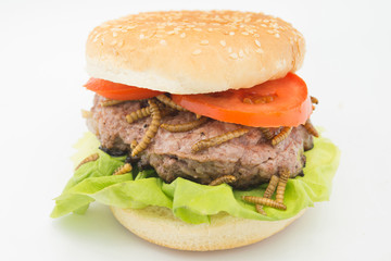Burger of edible worms  with tomato and lettuce