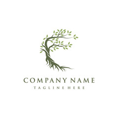 Tree and roots logo design vector isolated, abstract mangrove tree logo design
