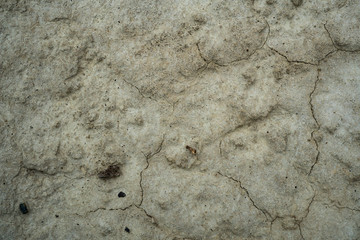 Texture of dried cracked clay. Macro background image of dried clay