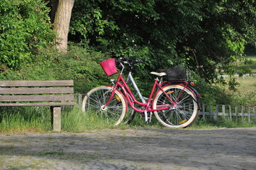 Fototapeta na wymiar Pinkes Fahrrad neben einer Bank im Park