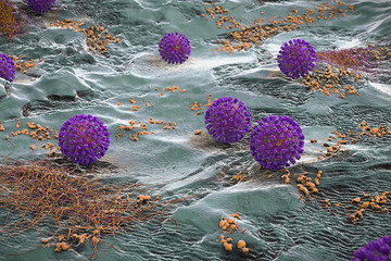 coronavirus outbreak, the Covid-19 virus 