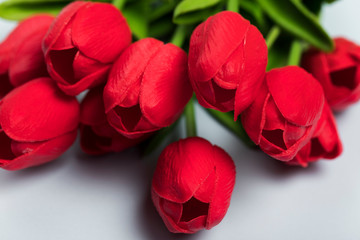 Red blooming tulips bouquet closeup