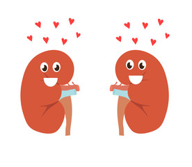 Healthy human kidneys on a white background. Vector illustration.