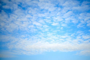 Feather clouds on the sky, background, copy space for text