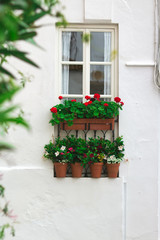 Traditional Andalusian window decoration with flowers in a house in Vejer de la Frontera, Spain