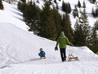 Promenade de luge