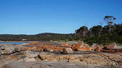 Bicheno Blowhole with Fountain, Tasmania, Australia