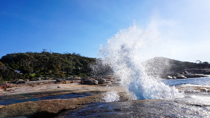 Bicheno Blowhole with Fountain, Tasmania, Australia