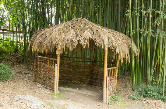 tropical hut in a bamboo grove