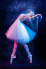 Fototapeta na wymiar refined ballet dancer