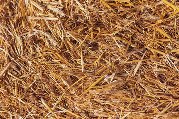 Stack of dry hay as an abstract background