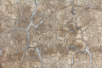 Reinforced concrete wall with white cracks