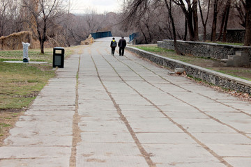 people walking in the park