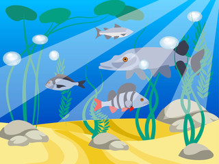 Fototapeta na wymiar Underwater world, a reservoir. Animals and nature of the lake. In minimalist style Cartoon flat raster