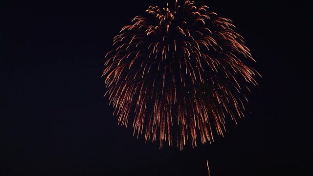 [4K収録, 音声有り] 日本の夏 花火大会 (第59回いたばし花火大会)