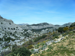 Fototapeta na wymiar landscape with rocky mountains