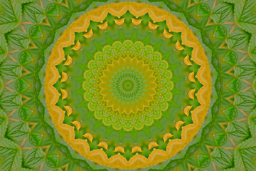 Abstract green and yellow sphere and multi point circle for background. 
