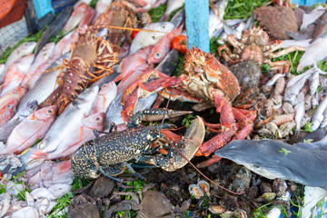 Fischmarkt in Essaouira, Marokko