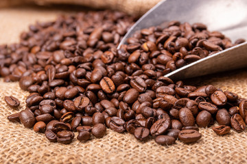 Fototapeta na wymiar fresh Coffee beans and an old scoop