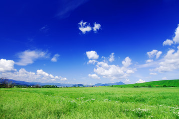 Idyll, view of green fields and blue sky with white clouds