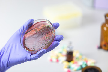 Analysis and study vaccine of Coronaviruses disease (CoV) in the laboratory.