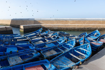 Fischerboote am Hafen von Essaouira, Marokko