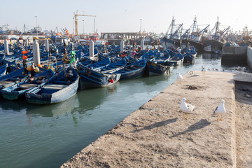 Der Hafen von Essaouira, Marokko
