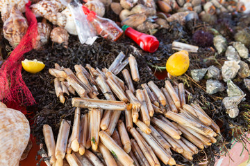 Meeresfrüchte am Hafen von Essaouira, Marokko