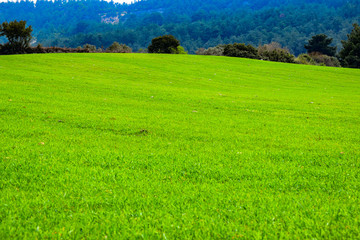 Obraz premium Panoramic view of idyllic mountain scenery