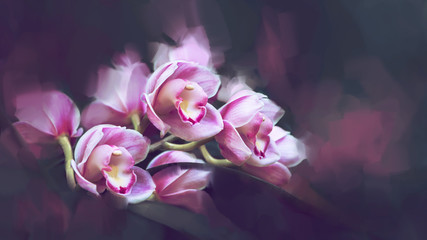 background Cymbidium orchids. Digital drawing orchids oil paint. Full frame, Space for text....