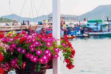 Red and Pink Beautiful Flower Basket with Blur Small Fishery Port in Background