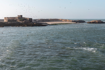 Kleine Insel vor der Küste Essaouiras, Marokko