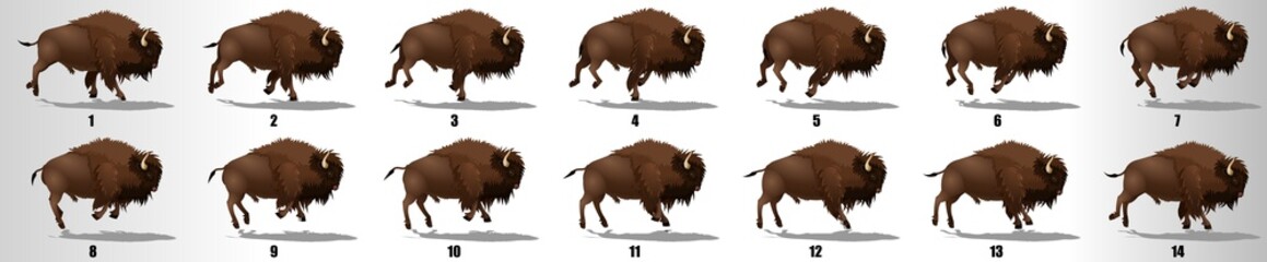 Bison Run cycle animation frames, loop animation sequence sprite sheet 