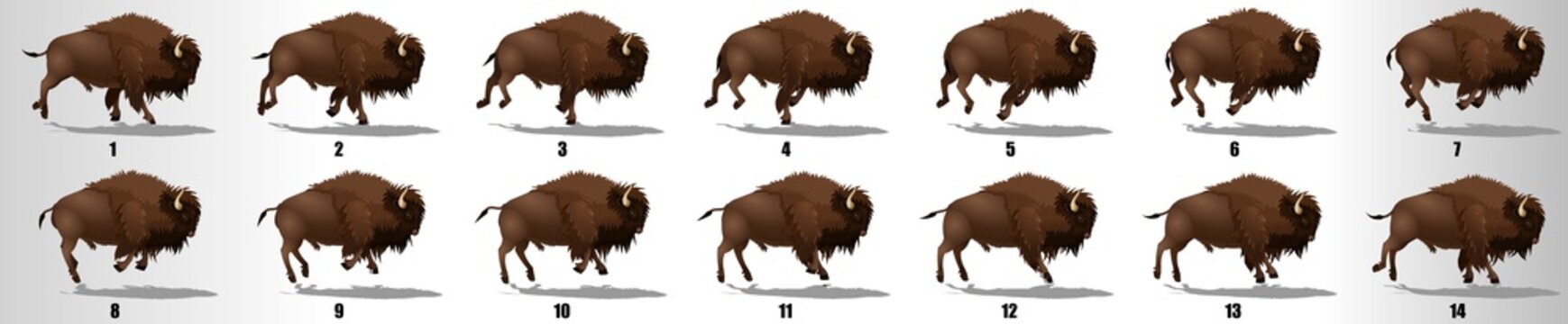 Bison Run cycle animation frames, loop animation sequence sprite sheet 