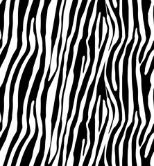 Fototapeta premium Zebra skin - seamless pattern.