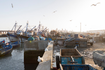 Fototapeta na wymiar Am Hafen von Essaouira, Marokko