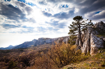 Outdoor photo, meadow with green grass strewn large stones and boulders, sky with gray clouds and trees in background