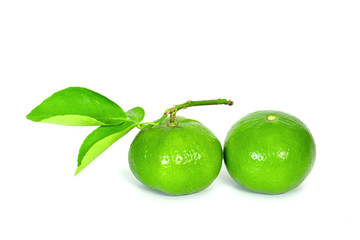 green lemon and leaves isolated on white background