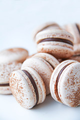 French dessert macaron powered with cocoa powder and filled with dark chocolate ganache. On a white background. Back view.