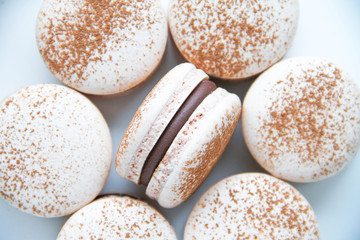 French dessert macaron powered with cocoa powder and filled with dark chocolate ganache. On a white background. Top view.