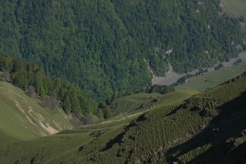 Fototapeta na wymiar road in the mountains