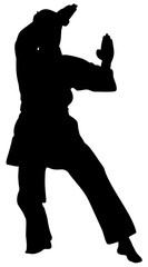 silhouette of kata karate athletes vector