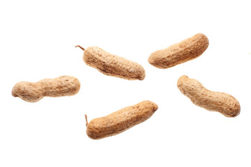 amendoim com casca no fundo branco